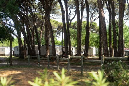 image Warum außerhalb der Saison im Campingplatz Saint-Aygulf Urlaub machen?