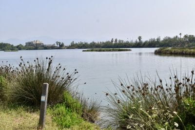 Bild Frohes neues Jahr 2026 auf dem Campingplatz Saint-Aygulf Plage: bereit für eine neue Saison mit den Füßen im Sand