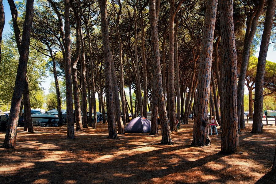 Die besten Plätze sind schnell vergeben