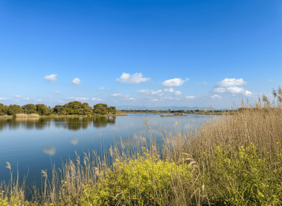 image März in Saint-Aygulf: Der Frühling steht vor der Tür