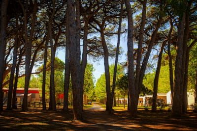 Bild SEPTEMBER AUF DEM CAMPINGPLATZ SAINT‑AYGULF PLAGE: DER SOMMER GEHT WEITER – AUF EINE ANDERE ART